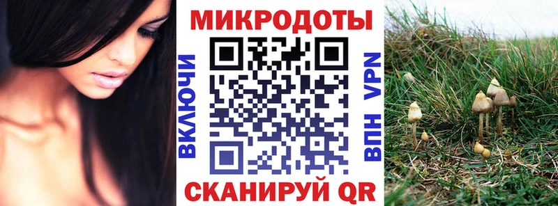 Псилоцибиновые грибы Cubensis  Монино 